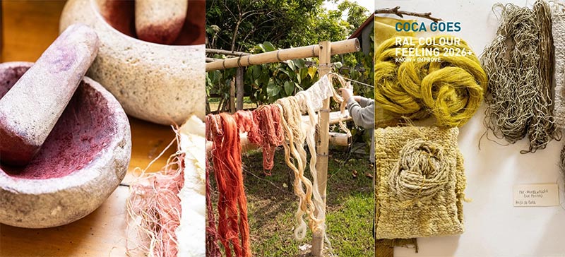 劳尔色彩趋势体验